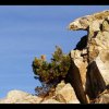 20151107_0300